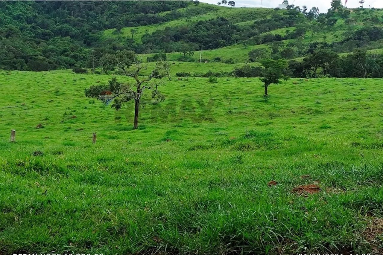 Fazenda dos Sonhos em MG: Propriedade à Venda! - Foto 2