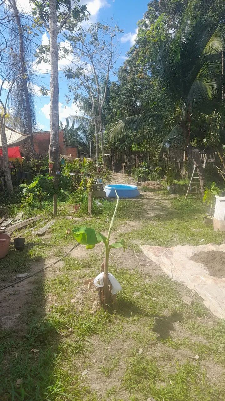 Vende-se esse terreno 
