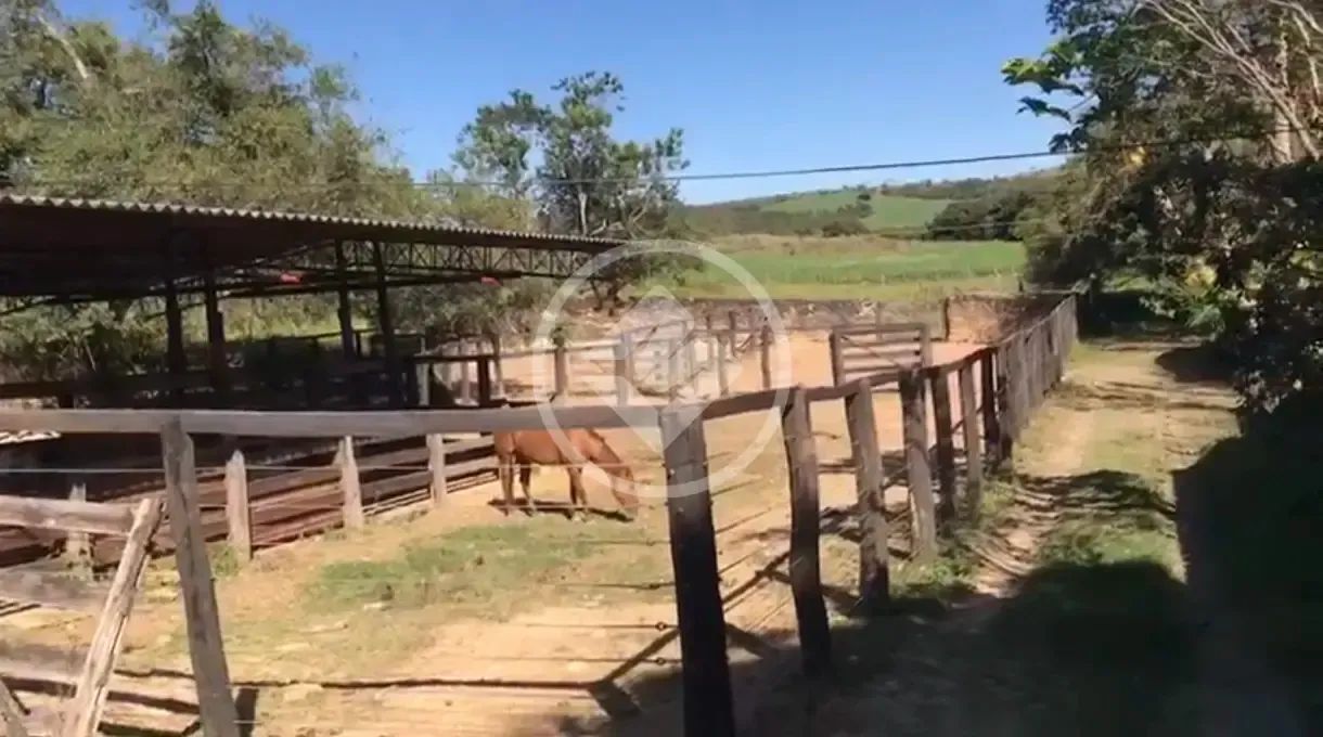 FAZENDA DE OPORTUNIDADE  SILVÂNIA/GO codigo: 309203 - Foto 4