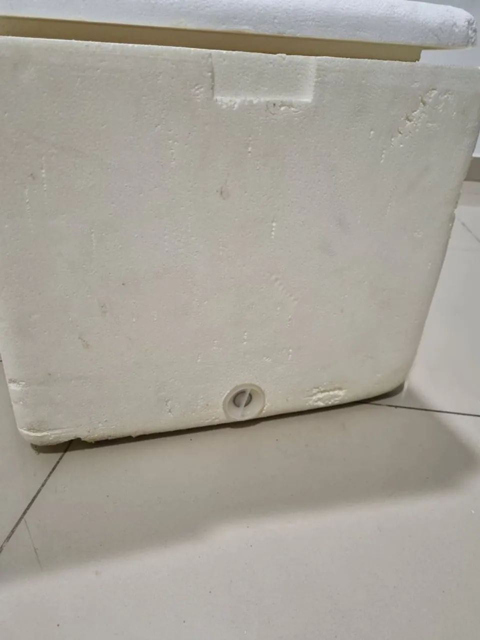 Caixa de Isopor 60L Seminova - Foto 2