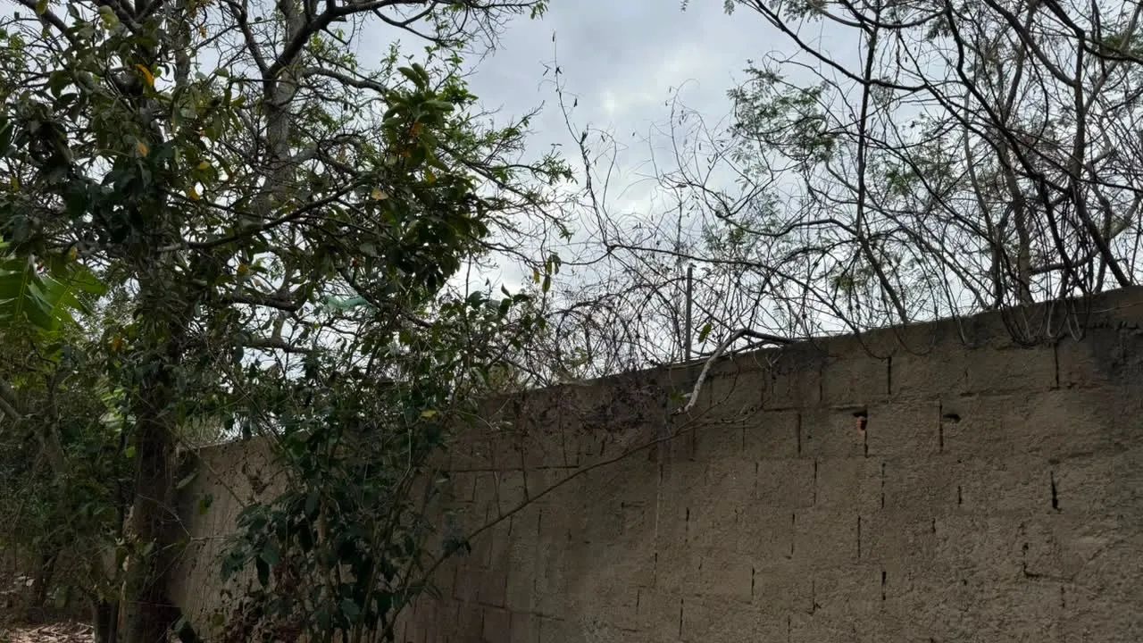 Terreno  - Foto 4