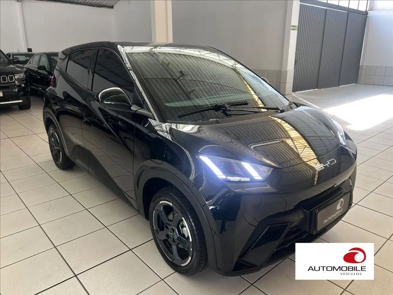 BYD Dolphin Mini (Elétrico) 2025 - Foto 3