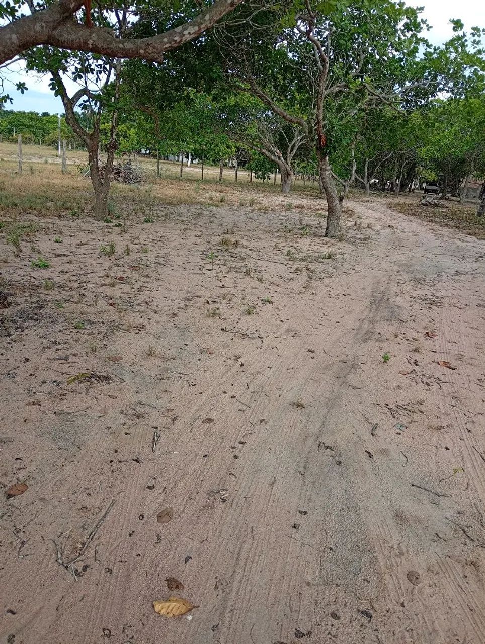 Vendo chácara c/ banho e casa ,40 km de Boa vista  - Foto 5