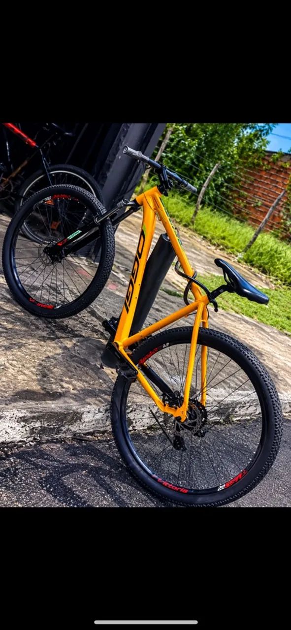 bicicleta