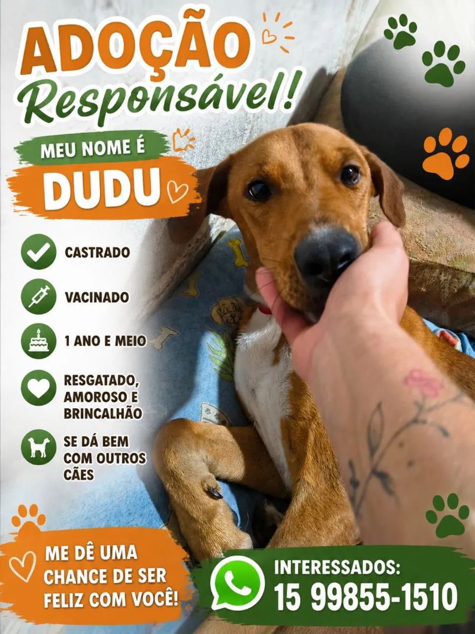 Doação responsável 