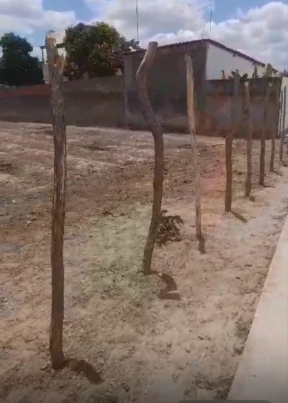 Grande Oportunidade