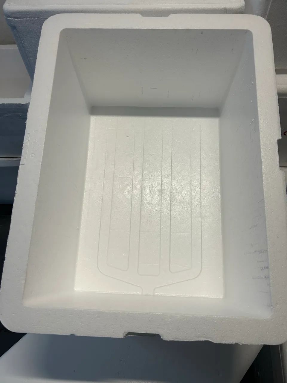 Caixa de isopor - Foto 4