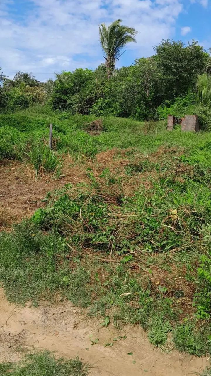 Terreno 10x30 m - Foto 3