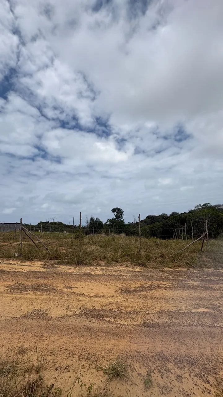 Terreno a venda.