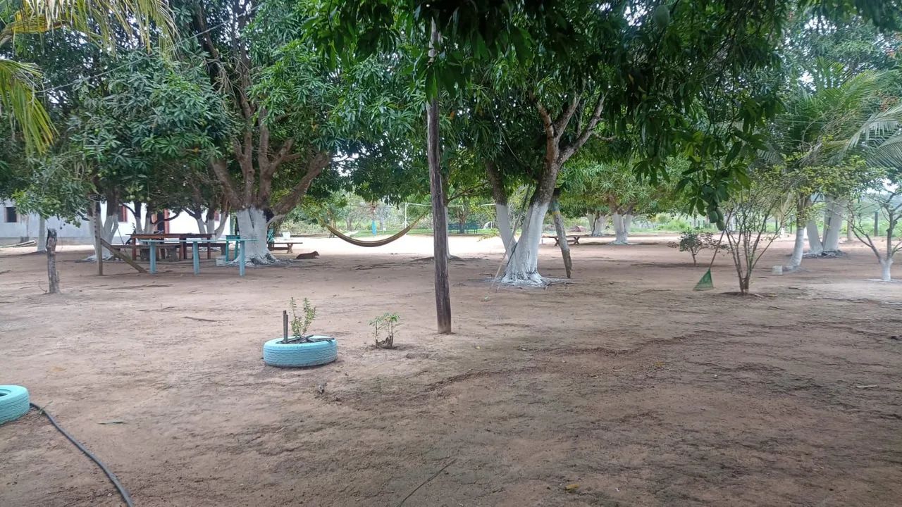 Vendo ótima chácara próximo a palmares 2 - Foto 5