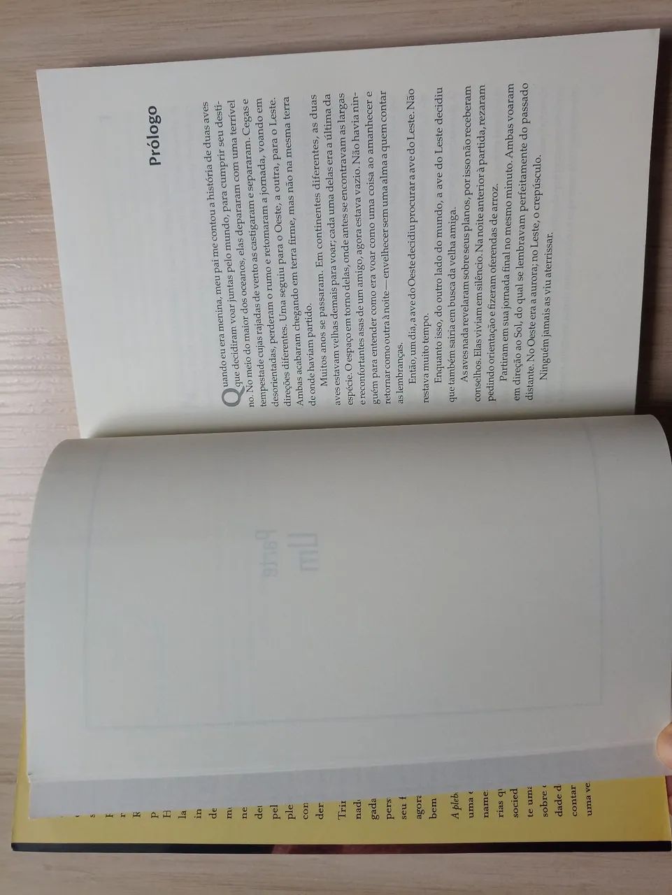 Livro A Plebeia  - Foto 3