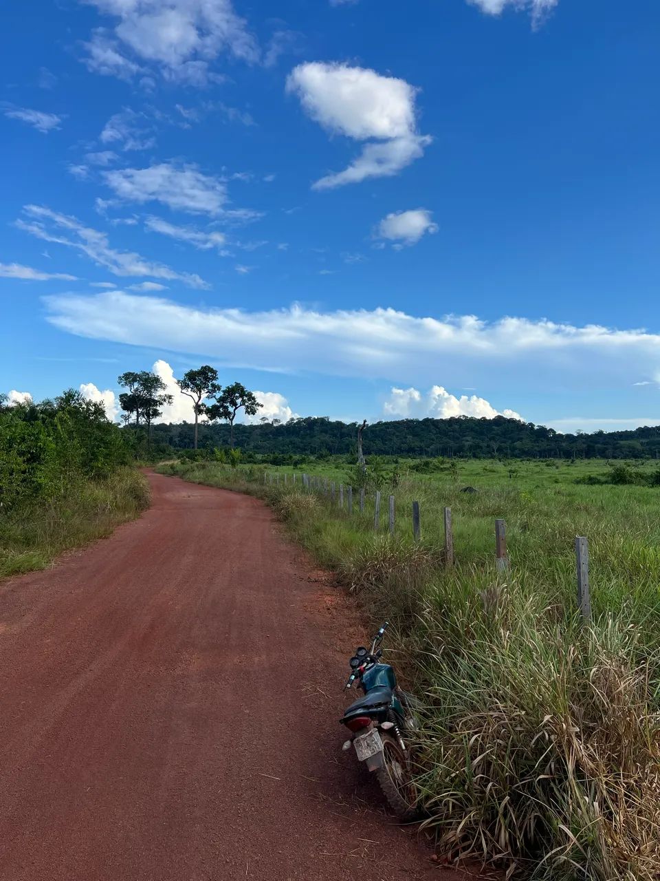 Fazenda top de 340 hectares  - Foto 3