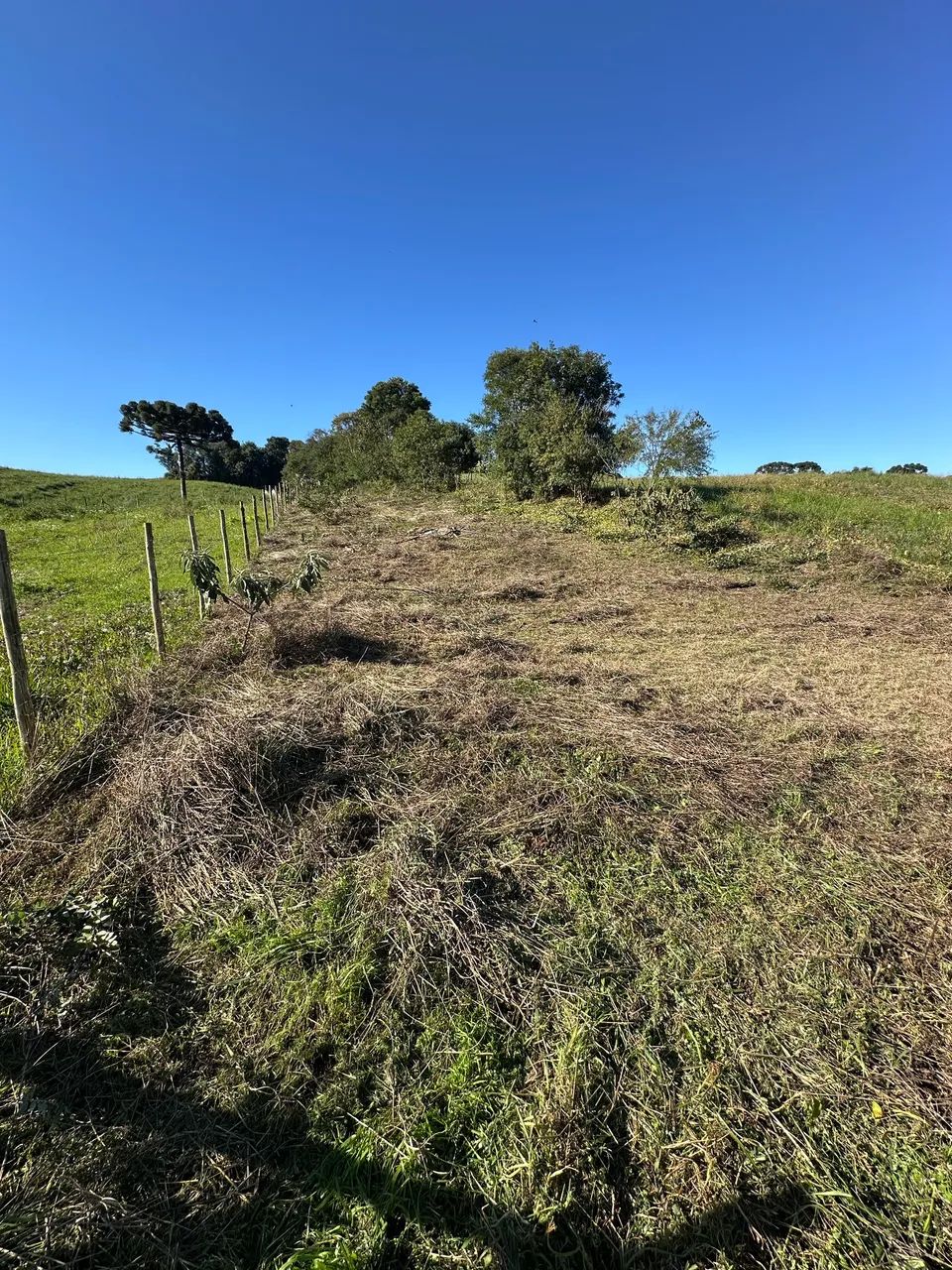 Terreno em contenda - Foto 4