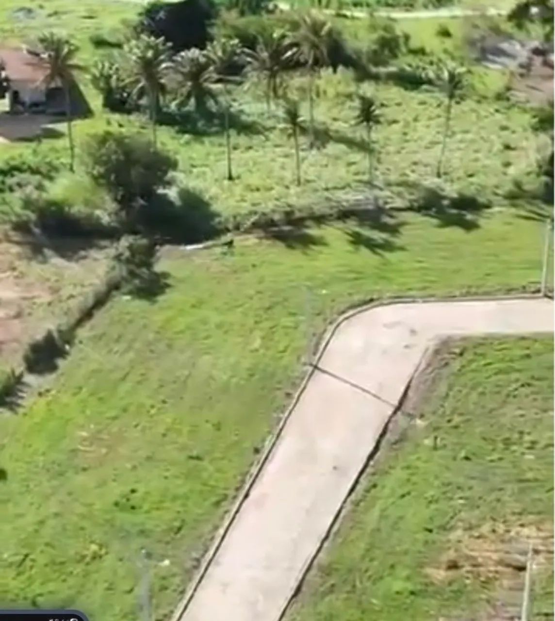 Lote a 500m do olheiro  - Foto 4