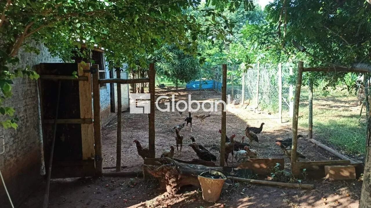 Vendo linda chácara na Estrada da Produção - Foto 3