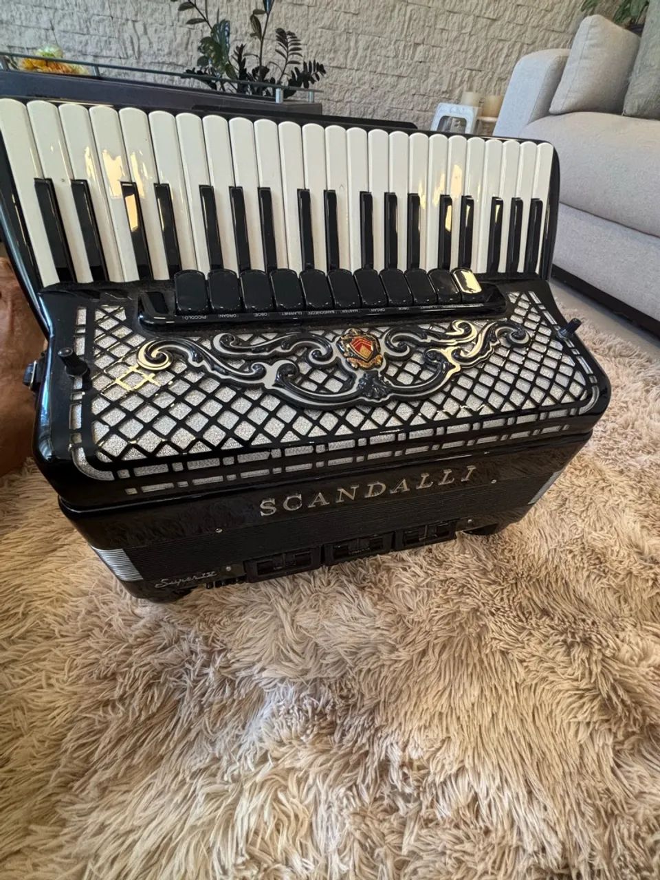 Acordeon  - Foto 4