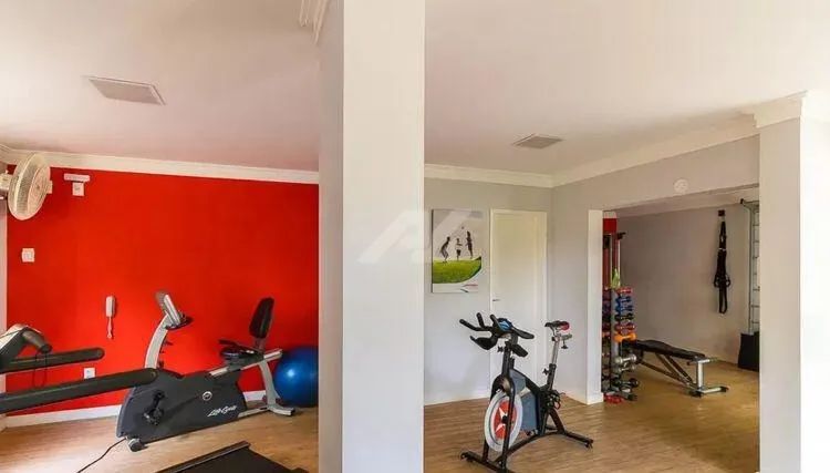 apartamento - Jardim das Paineiras - Campinas - Foto 3