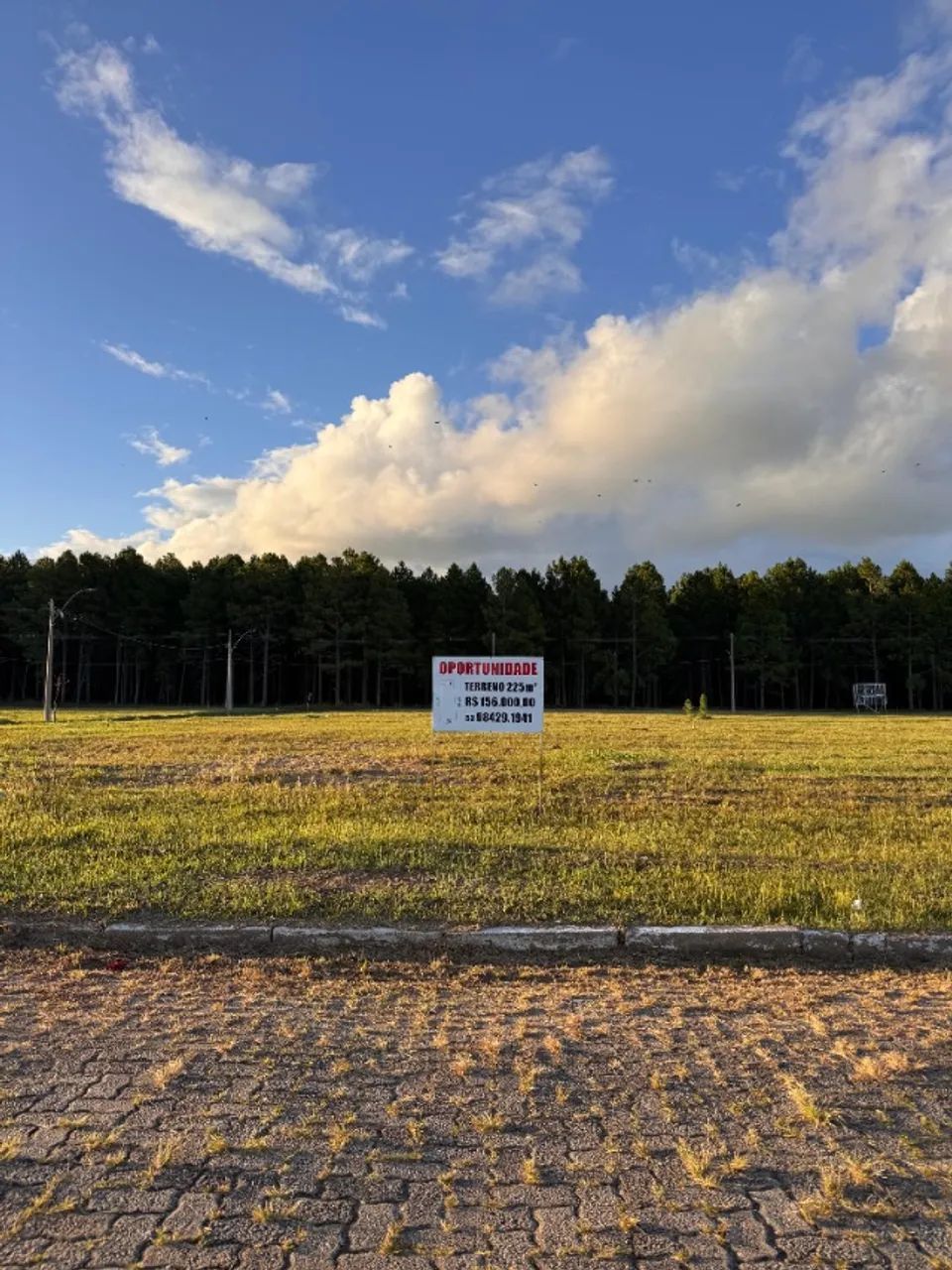Terrenos Villa Assumpção/ Las Acácias - Foto 4