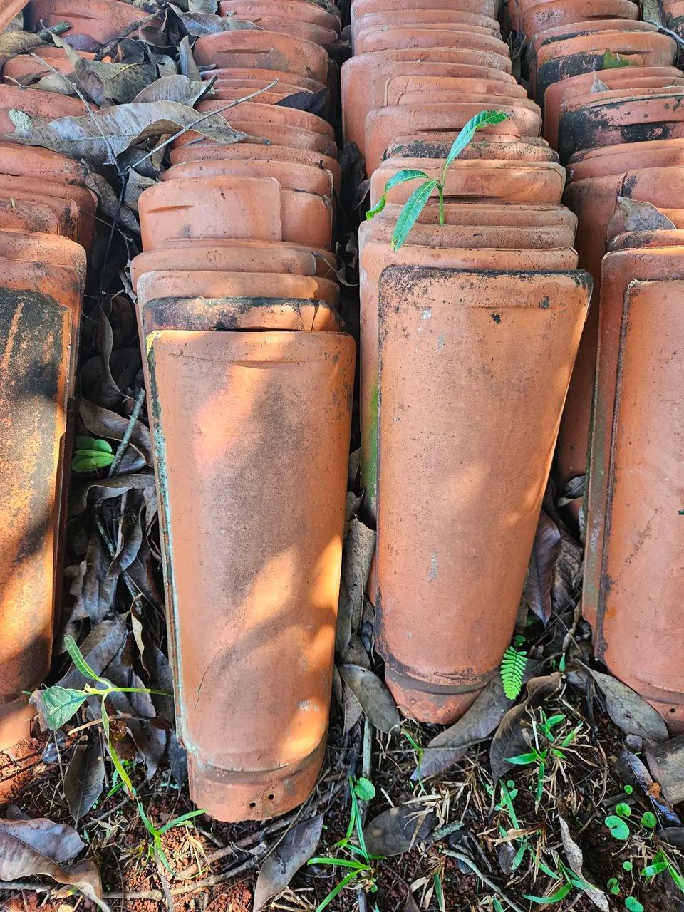 telhas de amianto , francesa, colonial. - Foto 4