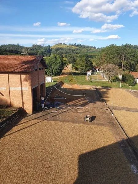 Fazenda - Amparo - Zona Rural - Foto 4