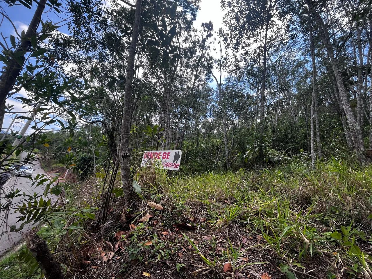 Terreno São Lourenço da Serra - Foto 3