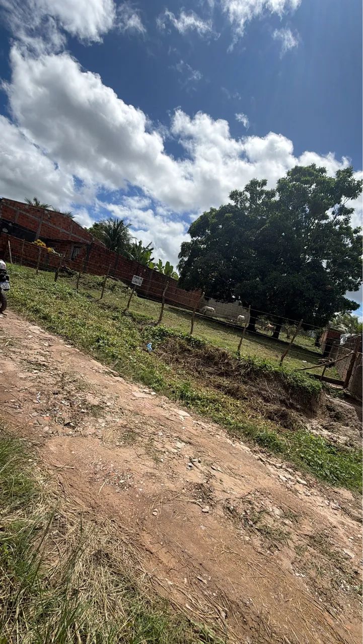 Chão de chácara 15X60 no Pai André  - Foto 5