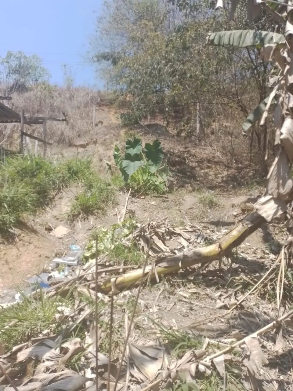 Terreno Pinheiral - Foto 2