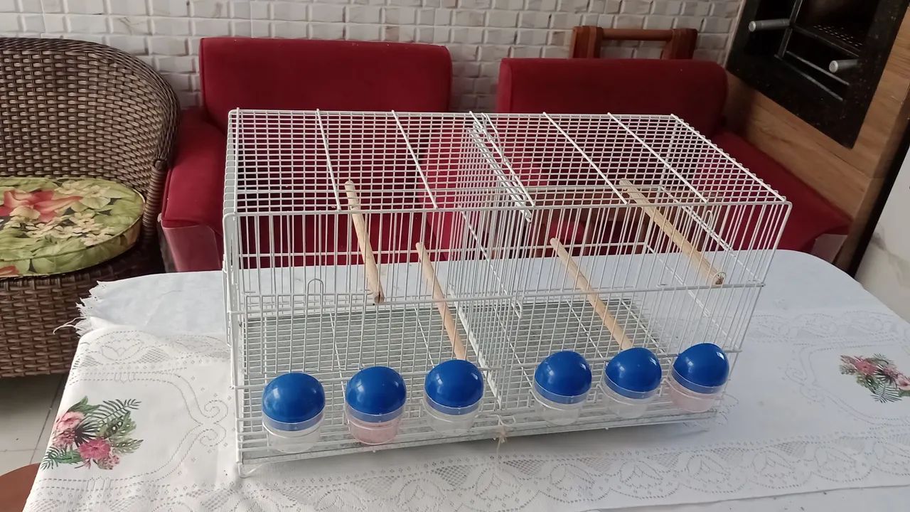 Gaiola 