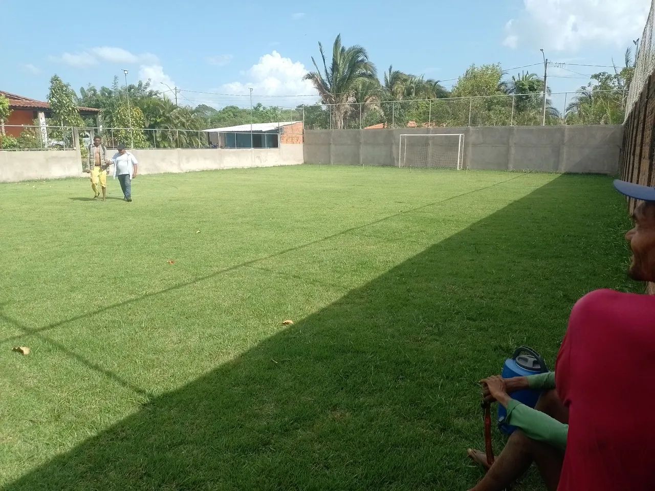 Grama esmeralda  - Foto 5