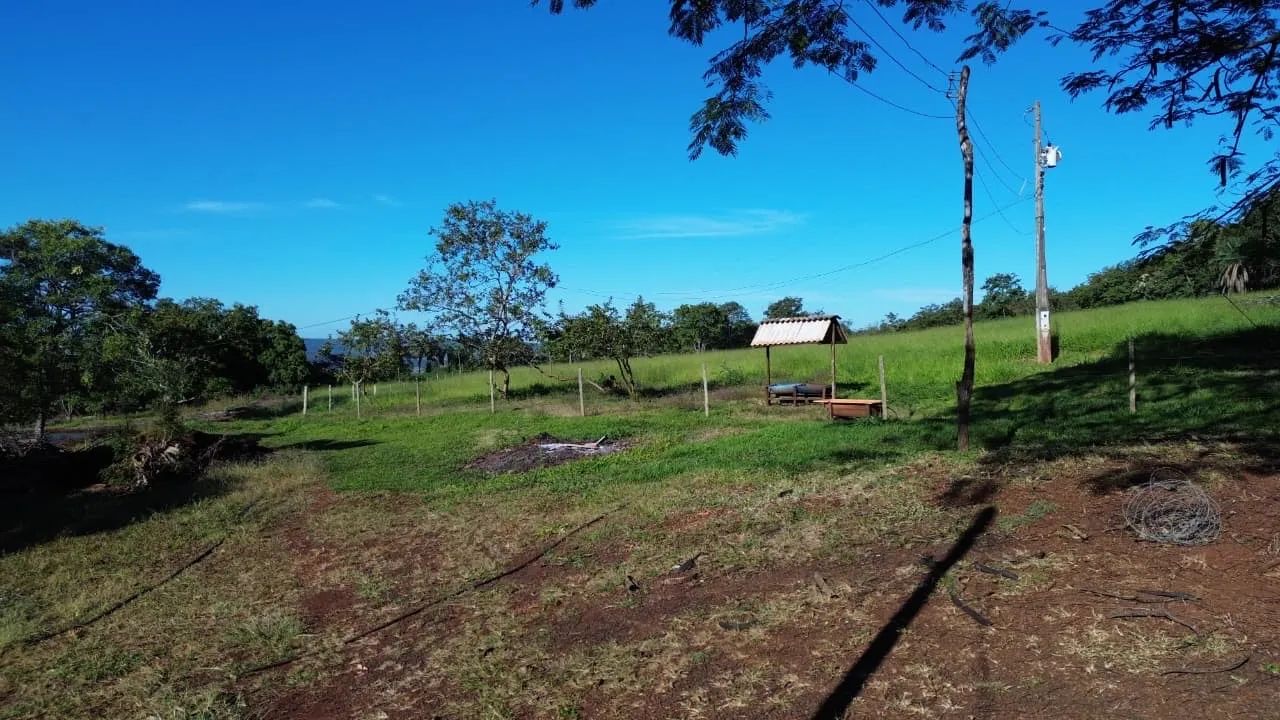 Sítio próximo Araguari 20 hectares  - Foto 5