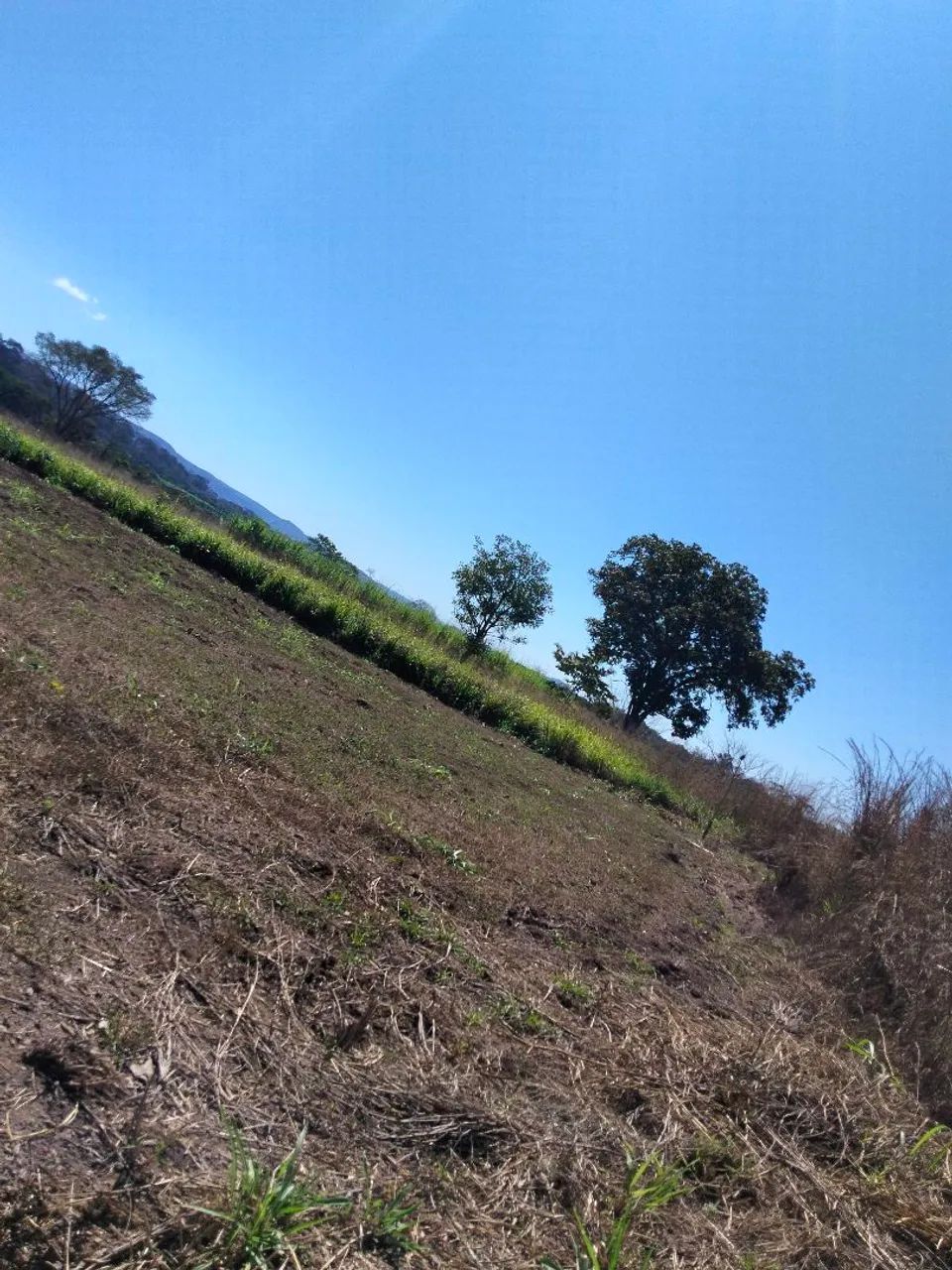 Terreno no sitio Aguaçu 