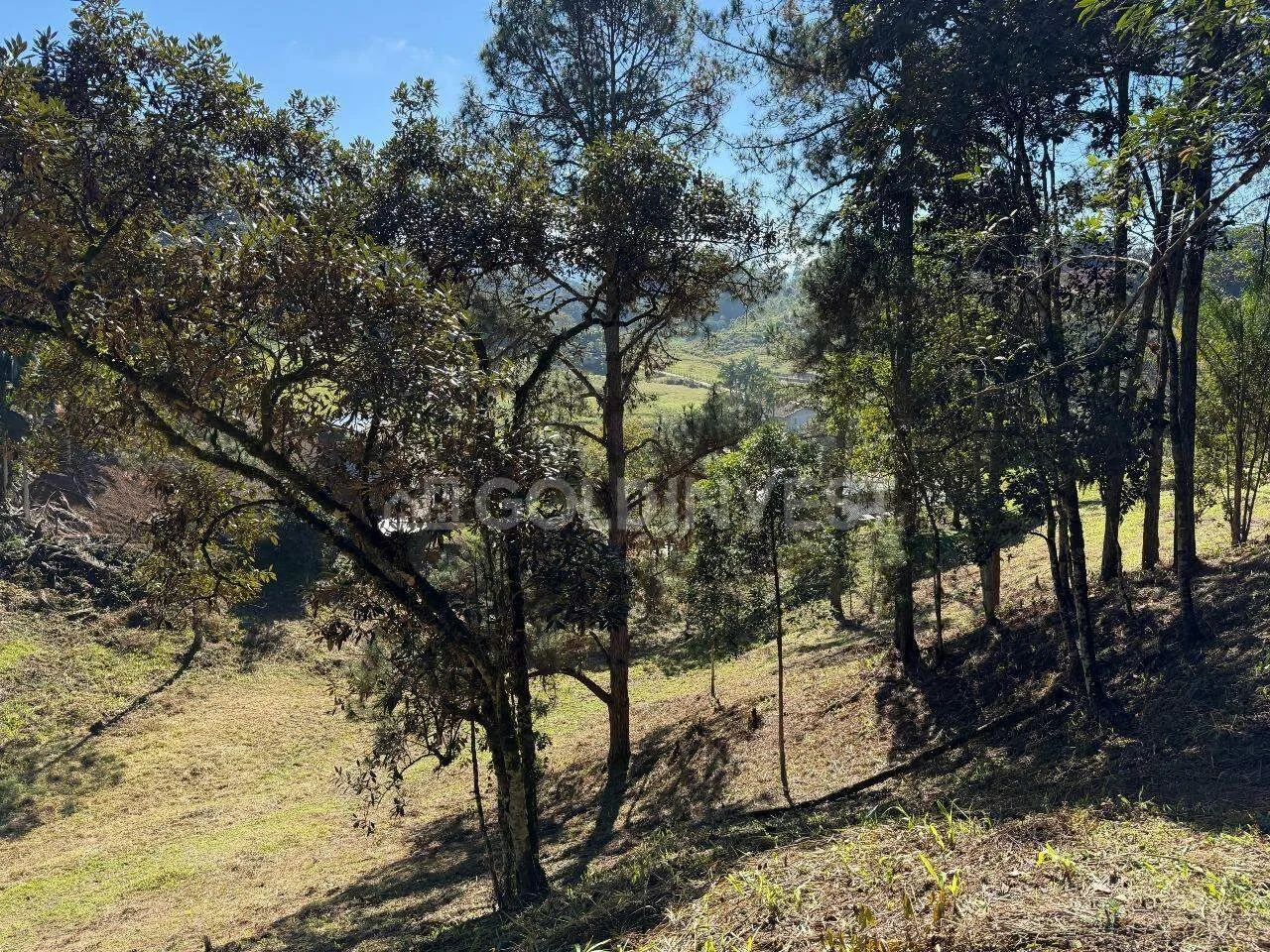 TERRENO PARA SÍTIO EM GUABIRUBA - Foto 4