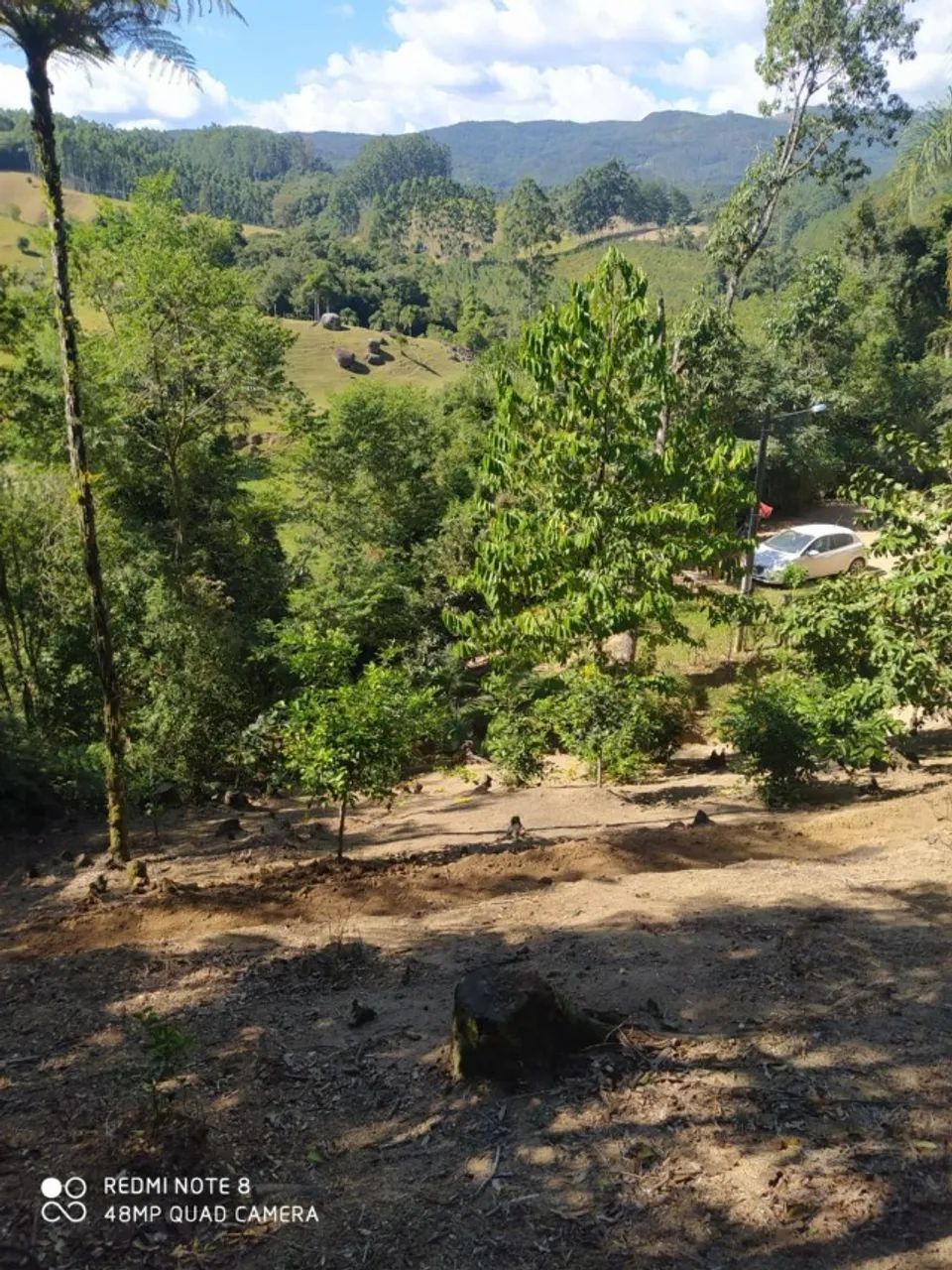 Sítio A venda em São Bonifácio SC  - Foto 2