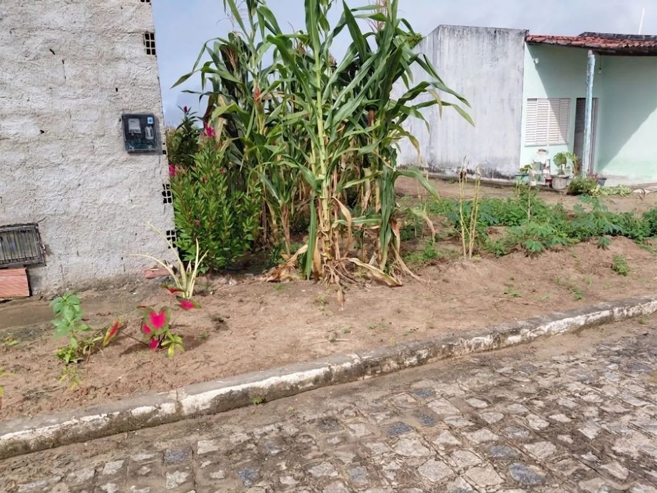 Terreno à venda em Boquim - Foto 2