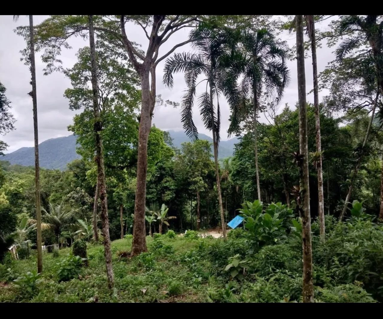 Terreno 450m² em Ubatuba  - Foto 5