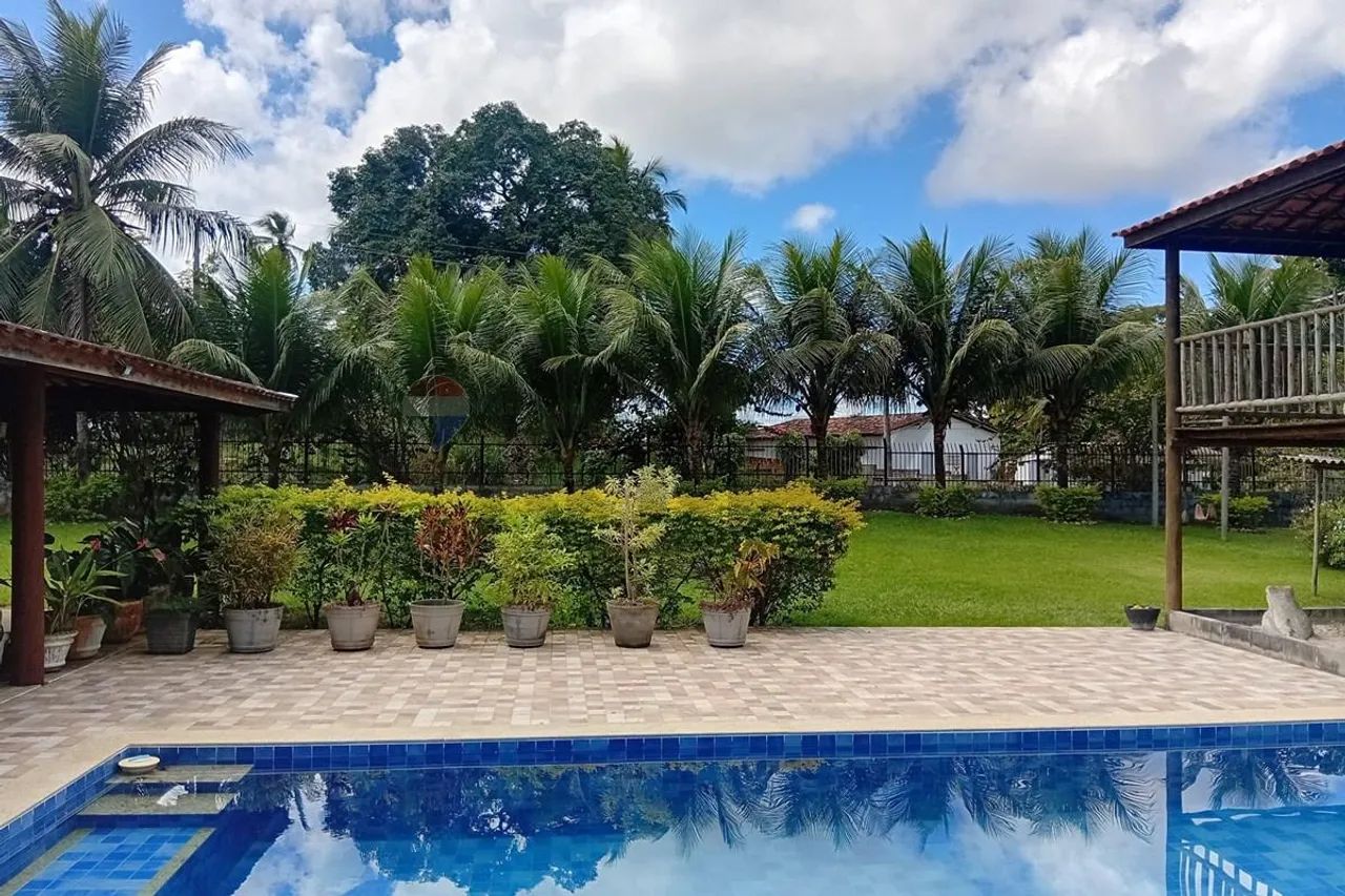 Sitio a Venda em Abrantes (Área Rural) - Foto 3