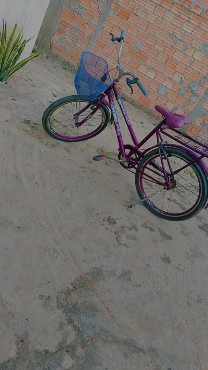 Bicicleta  - Foto 2