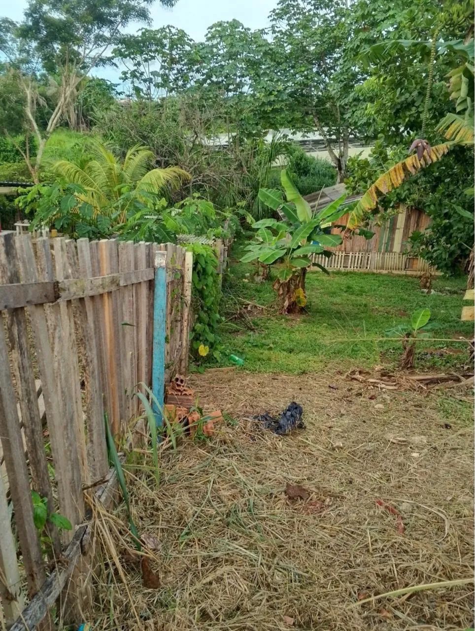 Vendo Chácara  - Foto 4