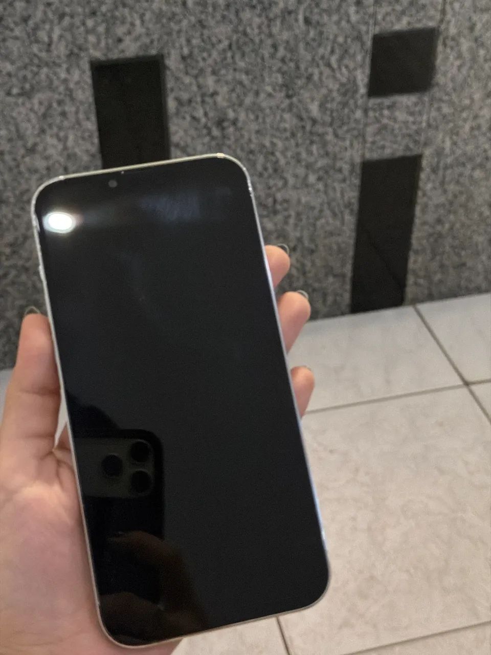 IPhone 13 Pro Max - 256Gb