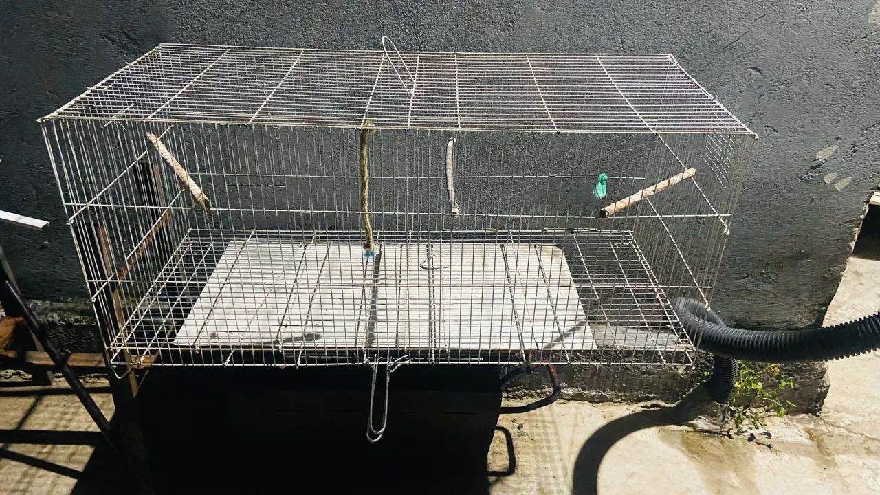 Vendo gaiola 