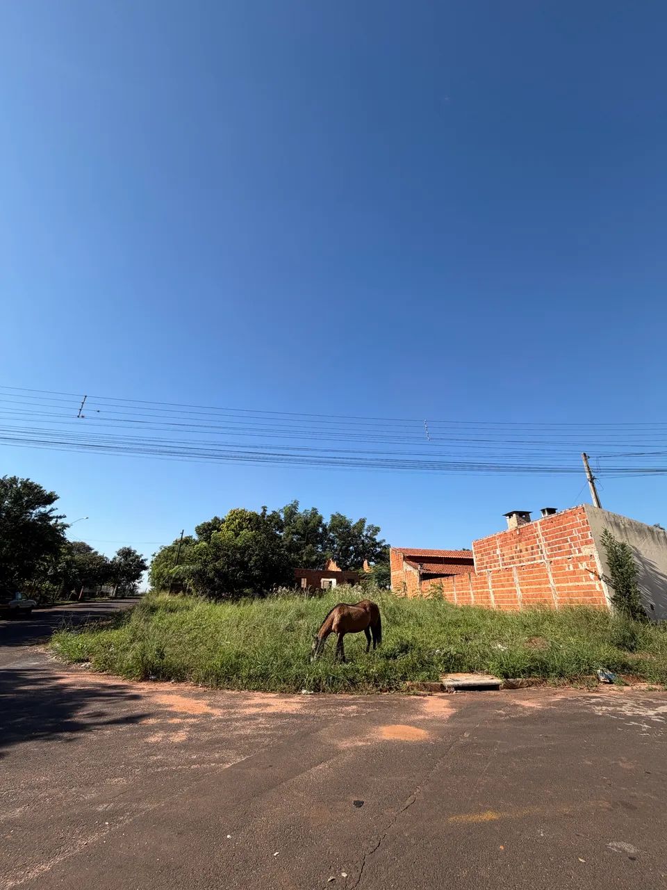 TERRENO EM UCHOA / SP  - Foto 2