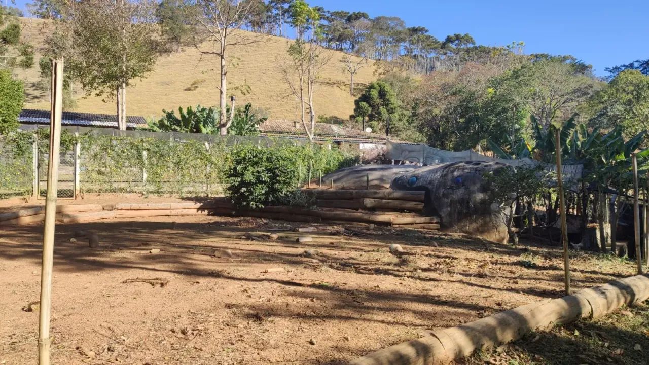 Sítio com 10.500m² em São Bento do Sapucaí - SP - Foto 4