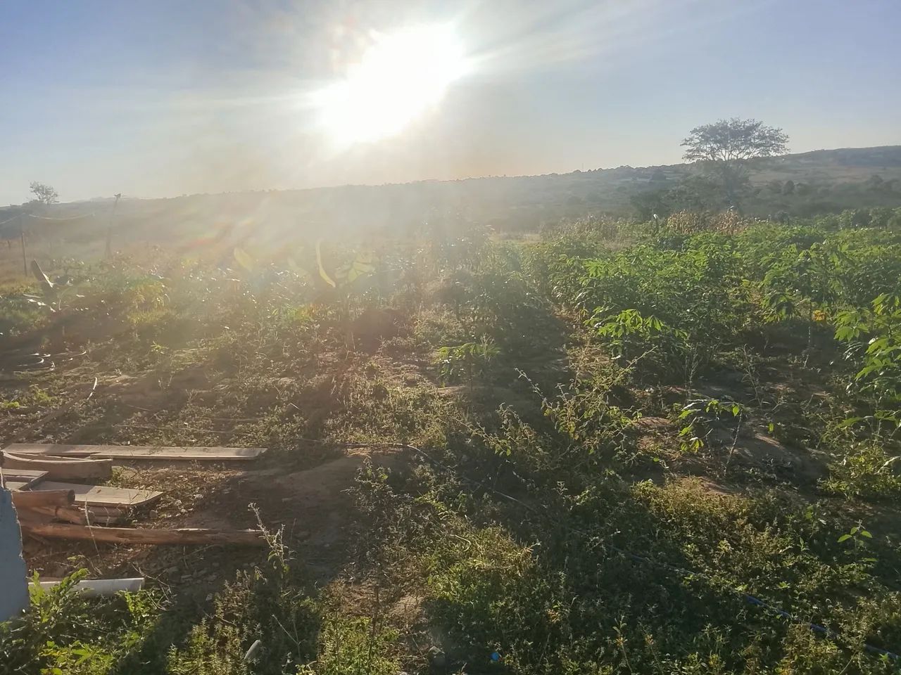 Vende-se terreno com casa 