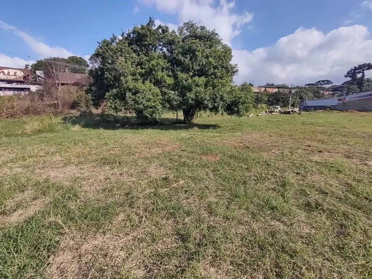 Terreno no Sítio Cercado - Foto 5