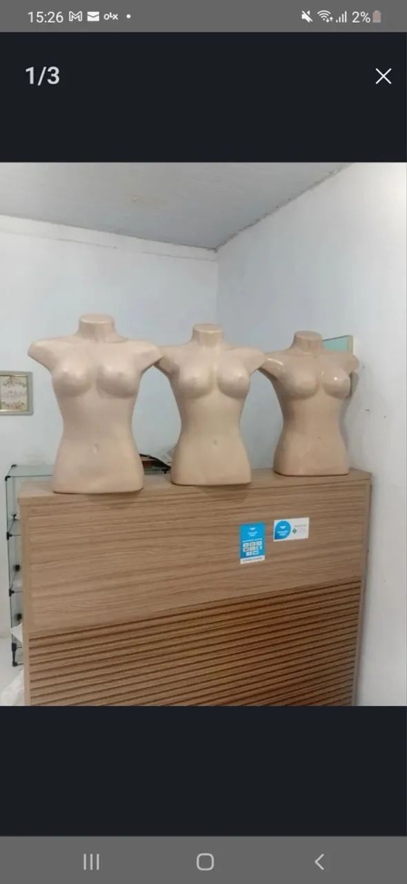Busto R$ 20,00 cada - Foto 3