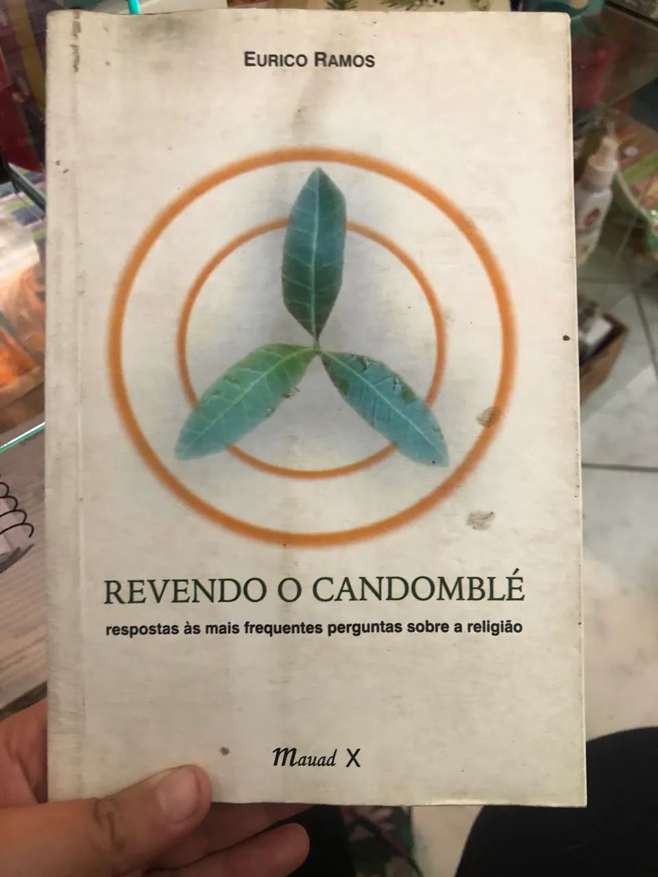 Livro revendo o candomblé 