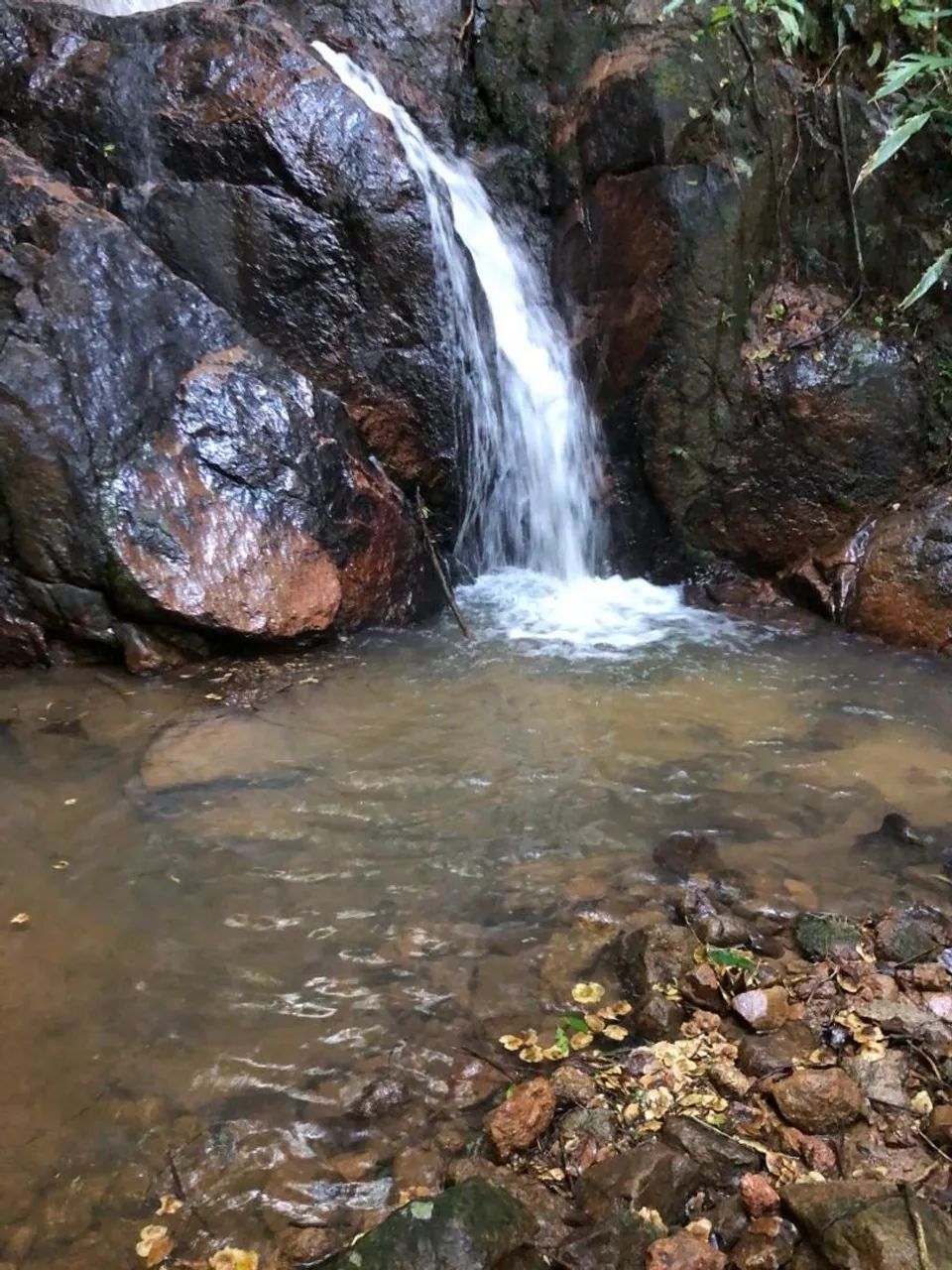 52 Hectares * Aceita permuta - Foto 2