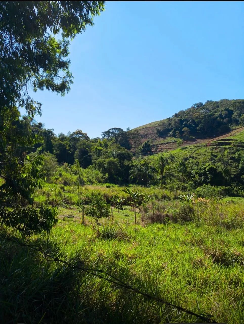 VENDO CHÁCARA EM SÃO CÂNDIDO  - Foto 2
