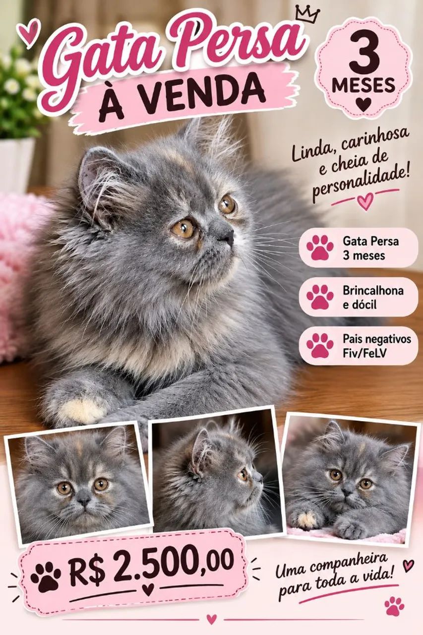 Gatinha Persa
