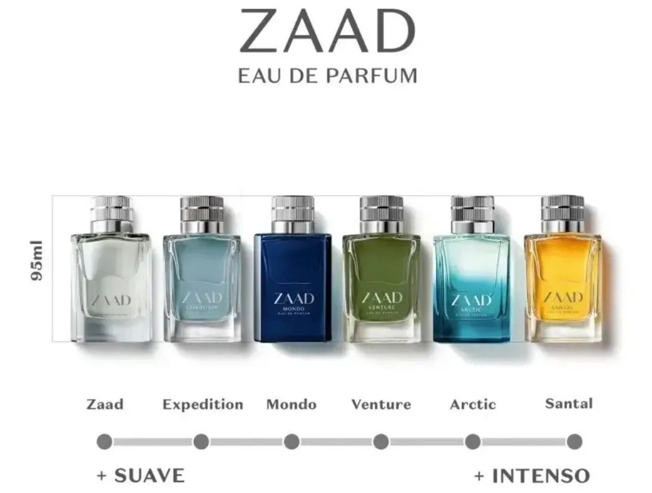 Zaad Mondo Eau de Parfum masculino, 95ml 95ml - Beleza e Cuidados